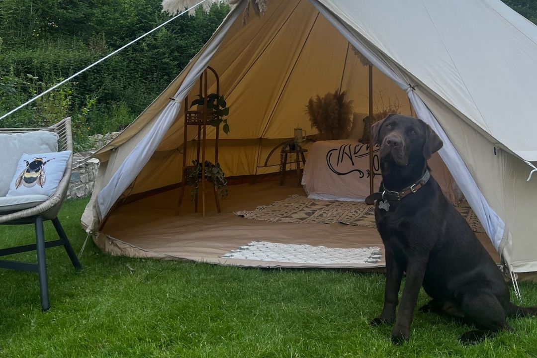 How to make Glamping Dog Friendly